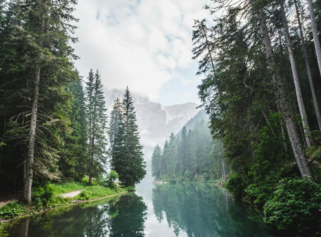 Nature (1)